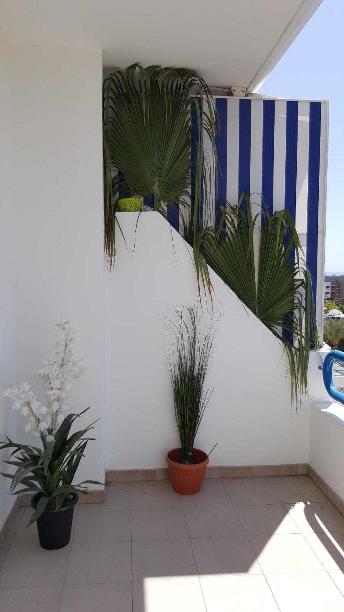 Paraiso Del Sur Playa Paraiso  Zewnętrze zdjęcie